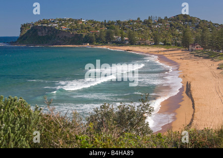 Blick nach Süden entlang Newport Beach, Sydney, Australien Stockfoto