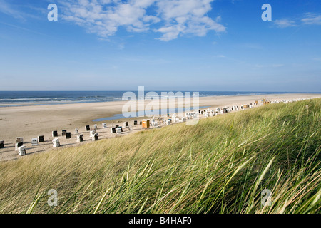 Hohe Gräser wiegen sich im Wind am Strand, Spiekeroog, Niedersachsen, Deutschland Stockfoto