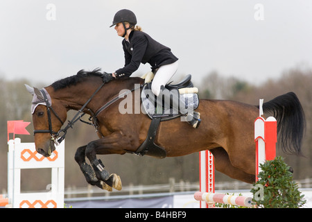 Jockey springen Hindernis, Ranshofen, Österreich Stockfoto