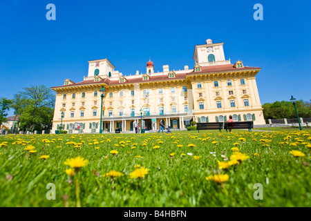 Blumen blühen vor Schloss Schloss Esterhazy Eisenstadt Burgenland Österreich Stockfoto