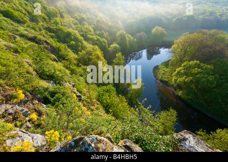 Erhöhte Ansicht der Fluss fließt durch Wald, Thaya, Thayatal, Umlaufberg, Niederösterreich, Österreich Stockfoto