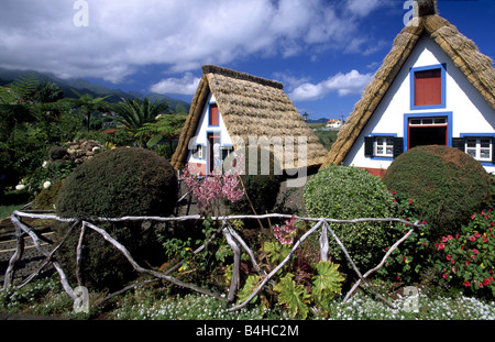 Pflanzen vor traditionellen strohgedeckten Häuser, Santana, Madeira, Portugal Stockfoto