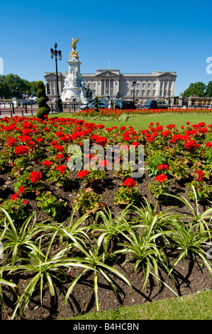 Blumen blühen im Garten mit Schloss im Hintergrund Buckingham Palace City Of Westminster London England Stockfoto