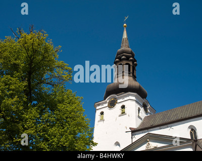 Lutherische Kathedrale St. Mary the Virgin (Dom), Tallinn, Estland Stockfoto