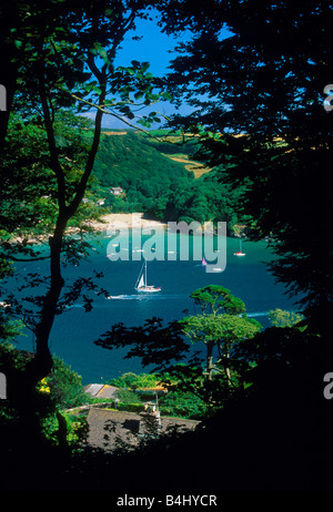 Freuen uns über die Mündung Ost Portlemouth aus Salcombe South Devon England UK Stockfoto