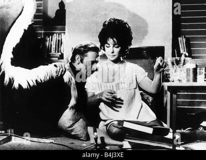 Richard Burton Schauspieler mit Schauspielerin Liz Taylor in dem Film Scheidung seine und Scheidung ihr Dbase MSI Stockfoto