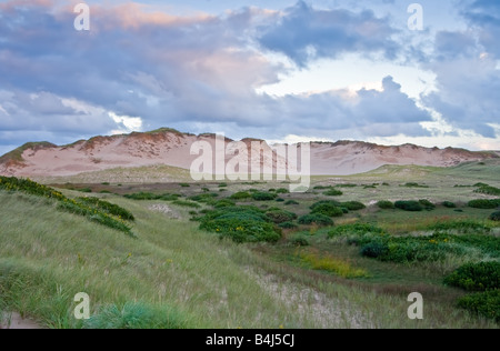 Parabolischen Dünen am Greenwich PEI Stockfoto