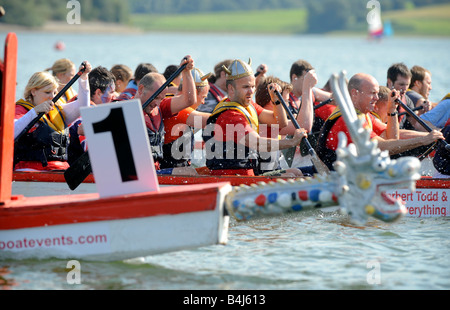 Drachenbootrennen auf Bewl Wasserbehälter: ein Team Paddel wütend zu versuchen, den Sieg erringen. Bild von Jim Holden. Stockfoto