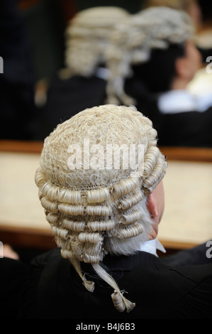 Generische Recht Gericht Bild Mitglied der Bar tragen Barristers Perücke. Stockfoto