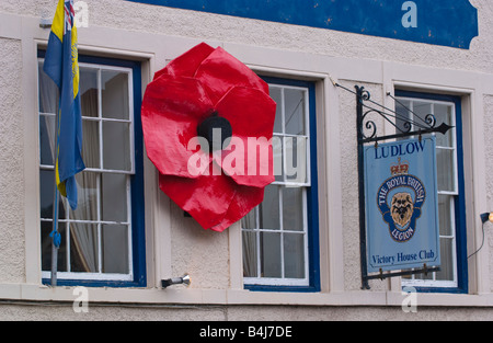 Riesigen roten Mohn auf außerhalb der Royal British Legion in Ludlow Shropshire England UK Stockfoto