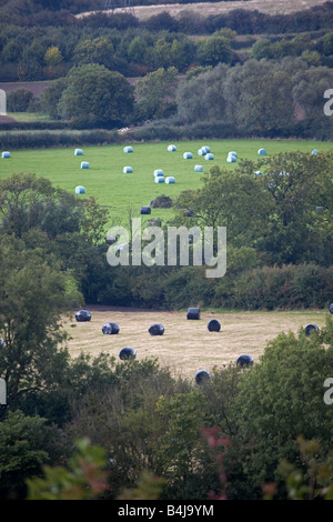 Leicestershire Hügellandschaft mit runden Silageballen Stockfoto