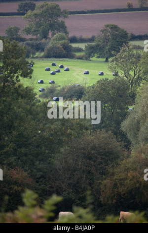 Leicestershire Hügellandschaft mit runden Silageballen Stockfoto