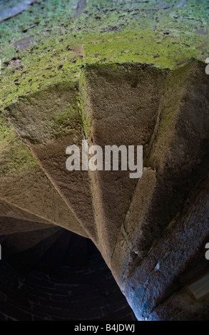 Wendeltreppe im Turm von Ludlow Castle Shropshire England UK Stockfoto