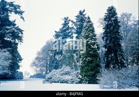 Verschneite Winterlandschaft im Westonbirt Arboretum Stockfoto