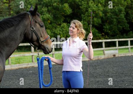 Eine dunkle Bucht Wallach Pferd und Pferd Whisperer gesehen während einer Trainingseinheit England UK Stockfoto