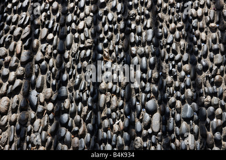 Zaun Schatten auf einer gepflasterten Straße Stockfoto