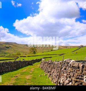 Ruhigen friedlichen Teil von Wharfedale nahe Burnsall nahe Grassington North Yorkshire England UK Stockfoto