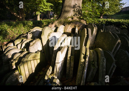 Robuster Baum, alte Kirche St. Pancras, London, UK Stockfoto