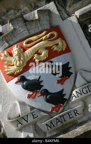 Stadt von Canterbury, England. Seitlicher Blick auf das Canterbury mittelalterlichen Wappen über dem vorderen Eingang, der Wohnturm. Stockfoto