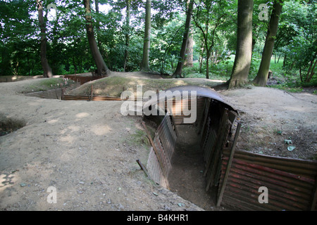 Erhalten Gräben im Heiligtum Holz Museum (in der Nähe von Hill-62), vor den Toren Ieper (Ypern), Belgien. Stockfoto