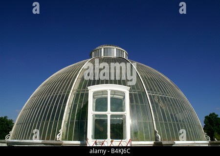 Das Palmenhaus in Kew Gardens Stockfoto