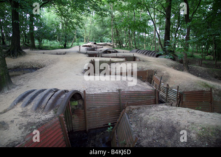 Erhalten Gräben im Heiligtum Holz Museum (in der Nähe von Hill-62), vor den Toren Ieper (Ypern), Belgien. Stockfoto