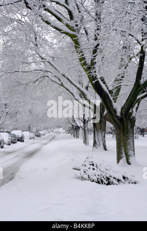 Toronto-Strasse, die von fallenden Schnee begraben am 1. Januar 2008 Stockfoto