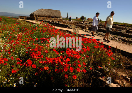 Römische Ruinen bei Numancia nördlich von Soria Spanien Stockfoto