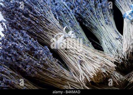 Geschnittene und getrocknete Lavendel Blumen in gebunden Sträuße mit Band. Stockfoto