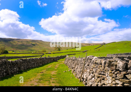 Ruhigen friedlichen Teil von Wharfedale nahe Burnsall nahe Grassington North Yorkshire England UK Stockfoto