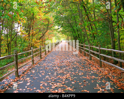 Eine lange bewaldete Trail, der durch den Wald in Connecticut diesein geht wird von Radfahrer Skater und auch Wanderer genutzt. Stockfoto