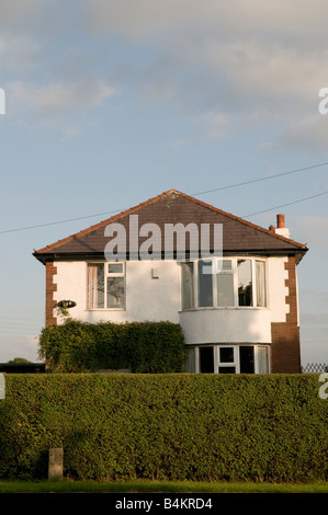 Hohen Liguster Hecke vor der freistehendes Vorstadthaus Preston Lancashire England UK Stockfoto