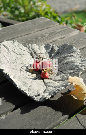 Die wilde rose Beere in der gestylten Platte Stockfoto