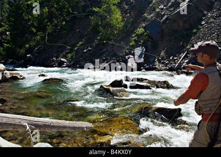 Ein Angler Fliegenfischen North Fork des Blackfoot River in der Nähe von Missoula Montana Stockfoto