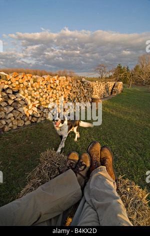 Ein paar entspannt mit ihrem Hund durch einen Holzstapel nach einem Tag voller Arbeit auf einem Bauernhof Stockfoto