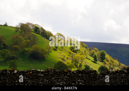 Ruhigen friedlichen Teil von Wharfedale nahe Burnsall nahe Grassington North Yorkshire England UK Stockfoto