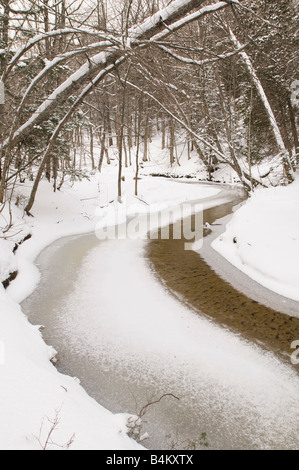Ein kleiner Bach Fluss in dem Hiawatha National Forest in Michigan s obere Halbinsel im winter Stockfoto
