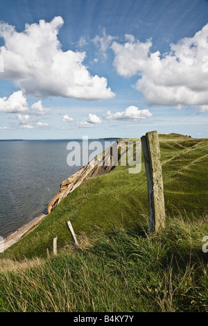 Wanderweg entlang der rührende Dueholm, Mors, Jütland, Dänemark Stockfoto