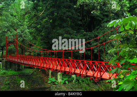 Hängebrücke in Bogor botanischen Gärten mit Bäumen um bei Tageslicht Stockfoto