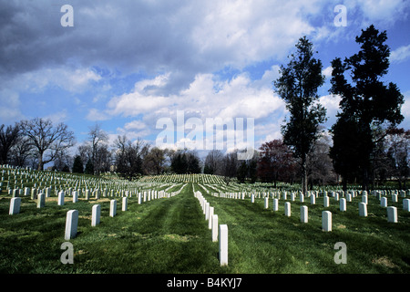 Arlington, Virginia Arlington National Cemetery Reihen von Tombstones im Historischen Friedhof Stockfoto