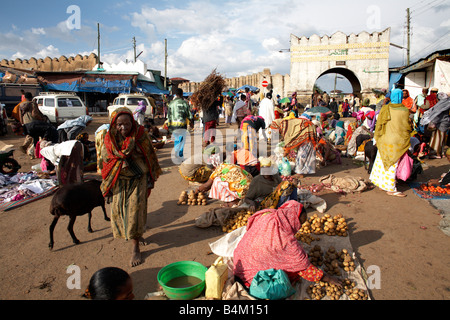 Die Shoa-Tor von Harar, Äthiopien Stockfoto