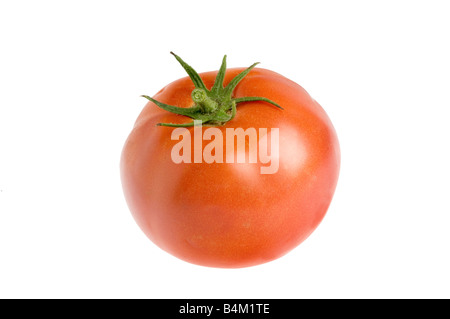 einzigen Bio frische Tomaten Stockfoto