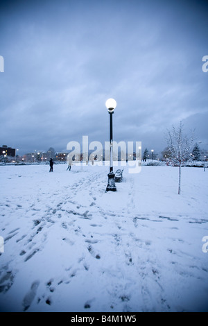 Wintersturm in den Park und Lampe post Stockfoto