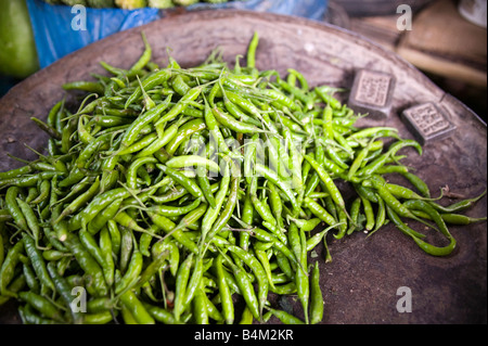 Grüne Peperoni zum Verkauf auf einem lokalen Markt Dhaka Bangladesch Stockfoto