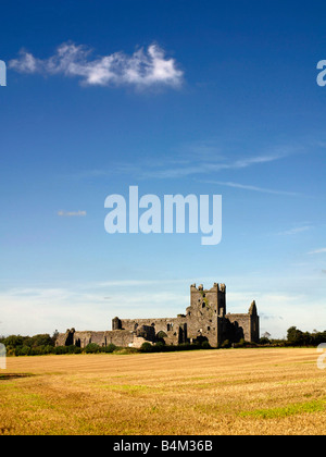 Dunbrody Abbey Co.Wexford Irland Stockfoto