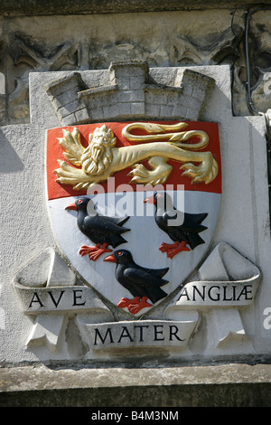 Stadt von Canterbury, England. Das Canterbury mittelalterlichen Wappen über dem vorderen Eingang, der Wohnturm. Stockfoto