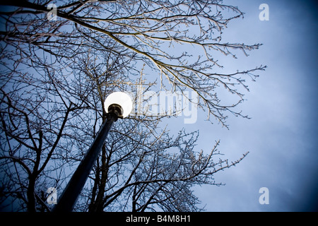 Wintersturm im park Stockfoto