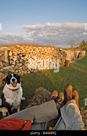 Ein paar entspannt mit ihrem Hund durch einen Holzstapel nach einem Tag voller Arbeit auf einem Bauernhof Stockfoto