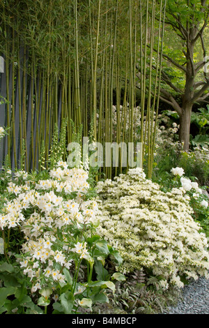 Daily Telegraph Garten; RHS Chelsea Flower Show 2008 Stockfoto