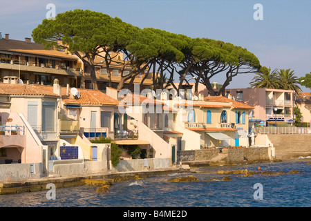 Wohnhäuser und Pinien stehen am Rand des Mittelmeers an der Cote d ' Azur / Provence / Südfrankreich Stockfoto